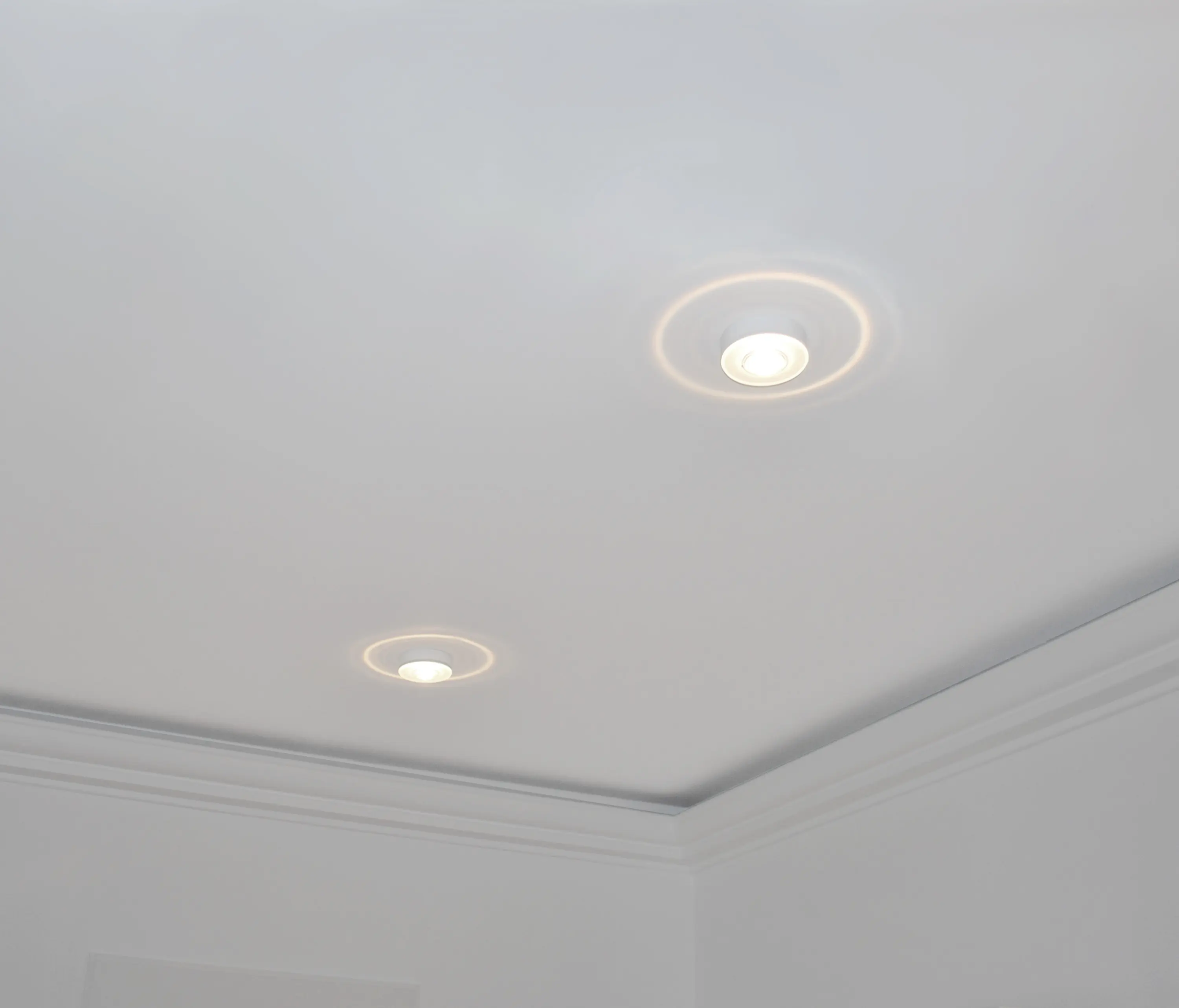 Wortmeyer Licht - Euclid On