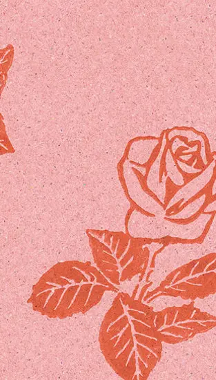 Extratapete - Rosa Inge [Collection 3]