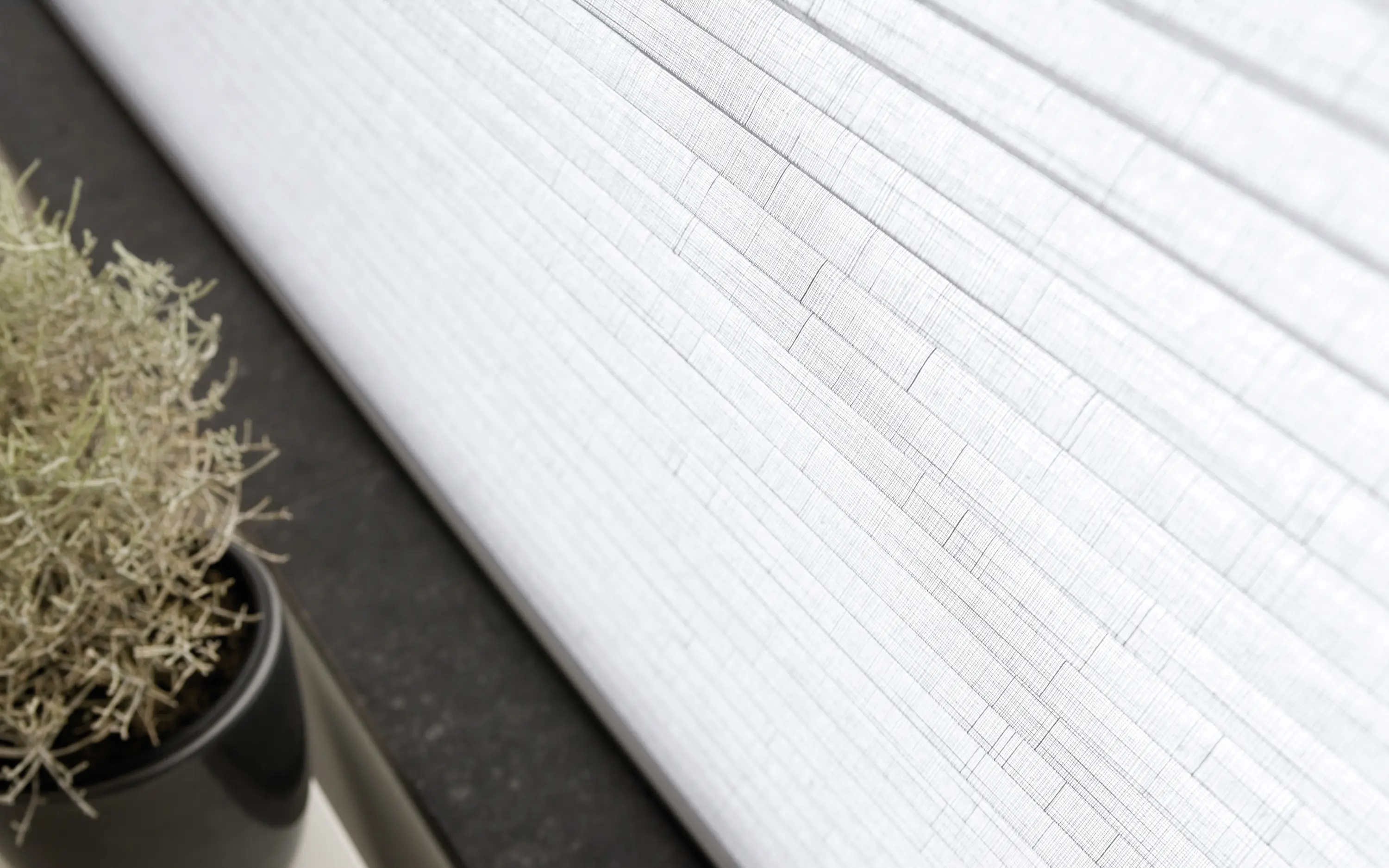 Ann Idstein - Pleated Blinds