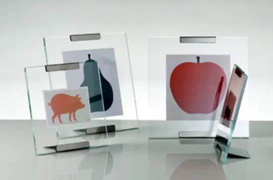 Danese - Galapagos picture frame