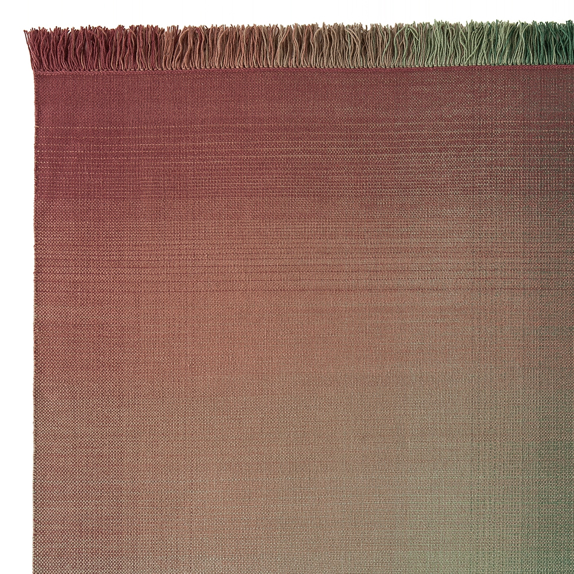 Shade Palette 3