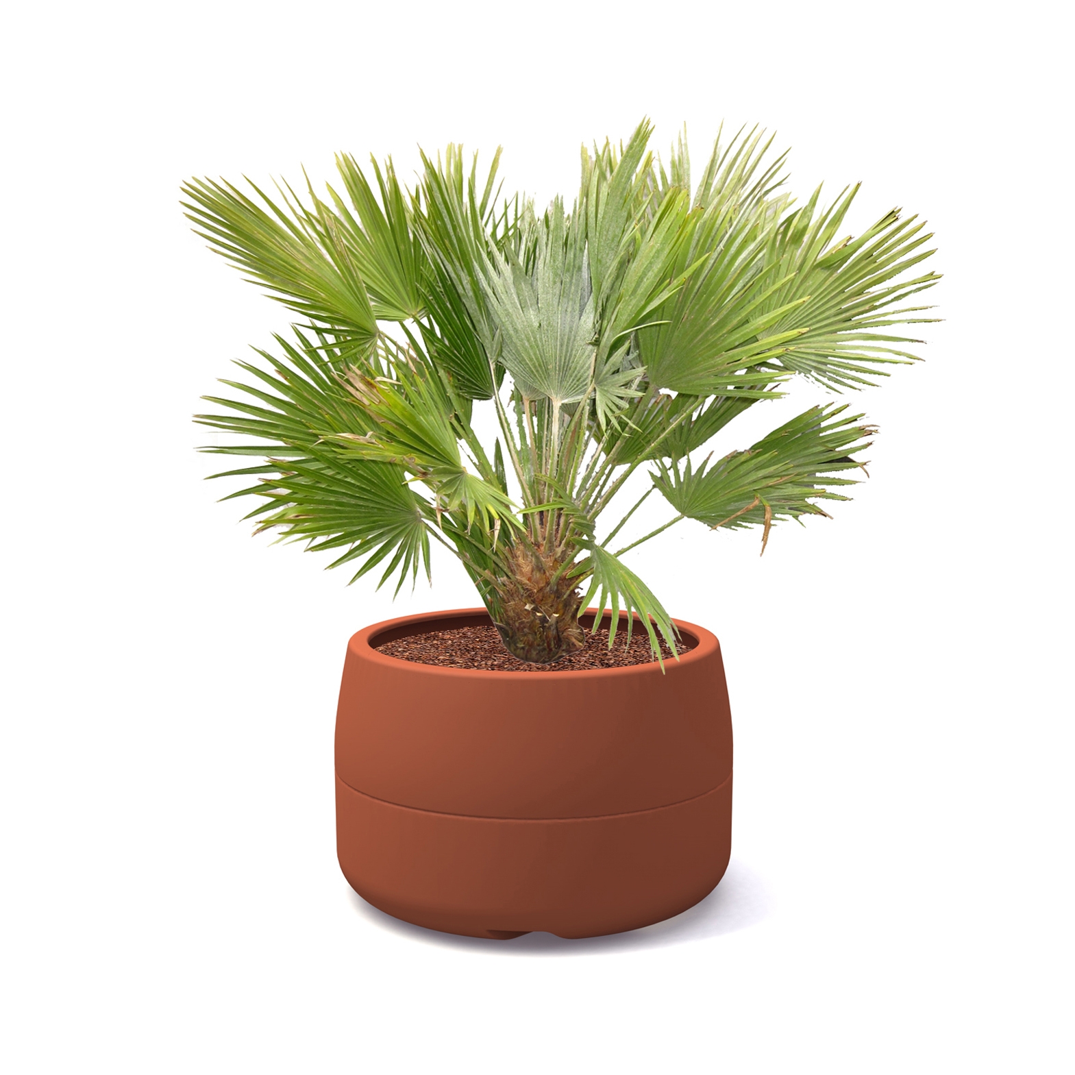 Produkt Composites Vaso Baumkübel des Herstellers Streetlife anzeigen