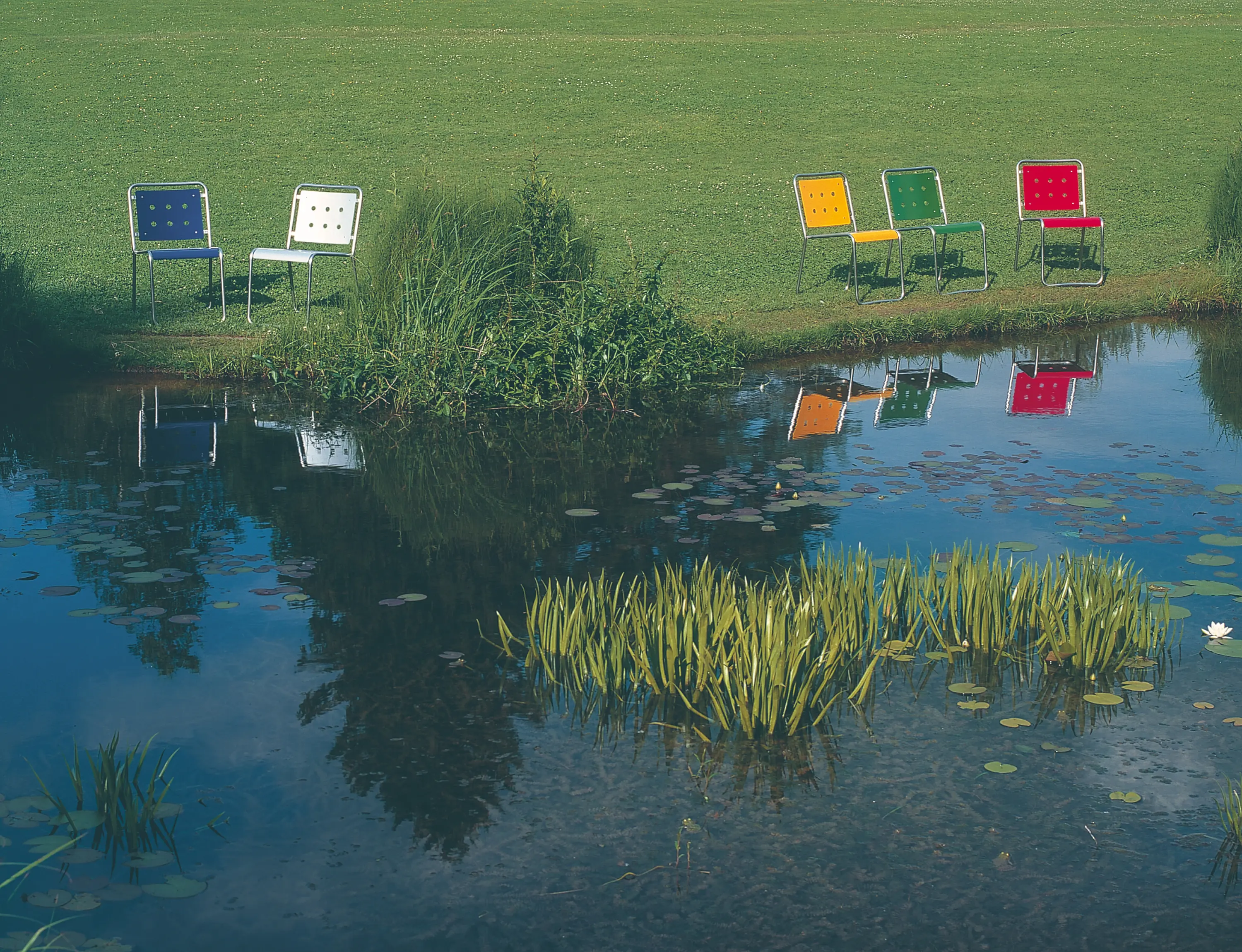 BURRI - Stella Campus