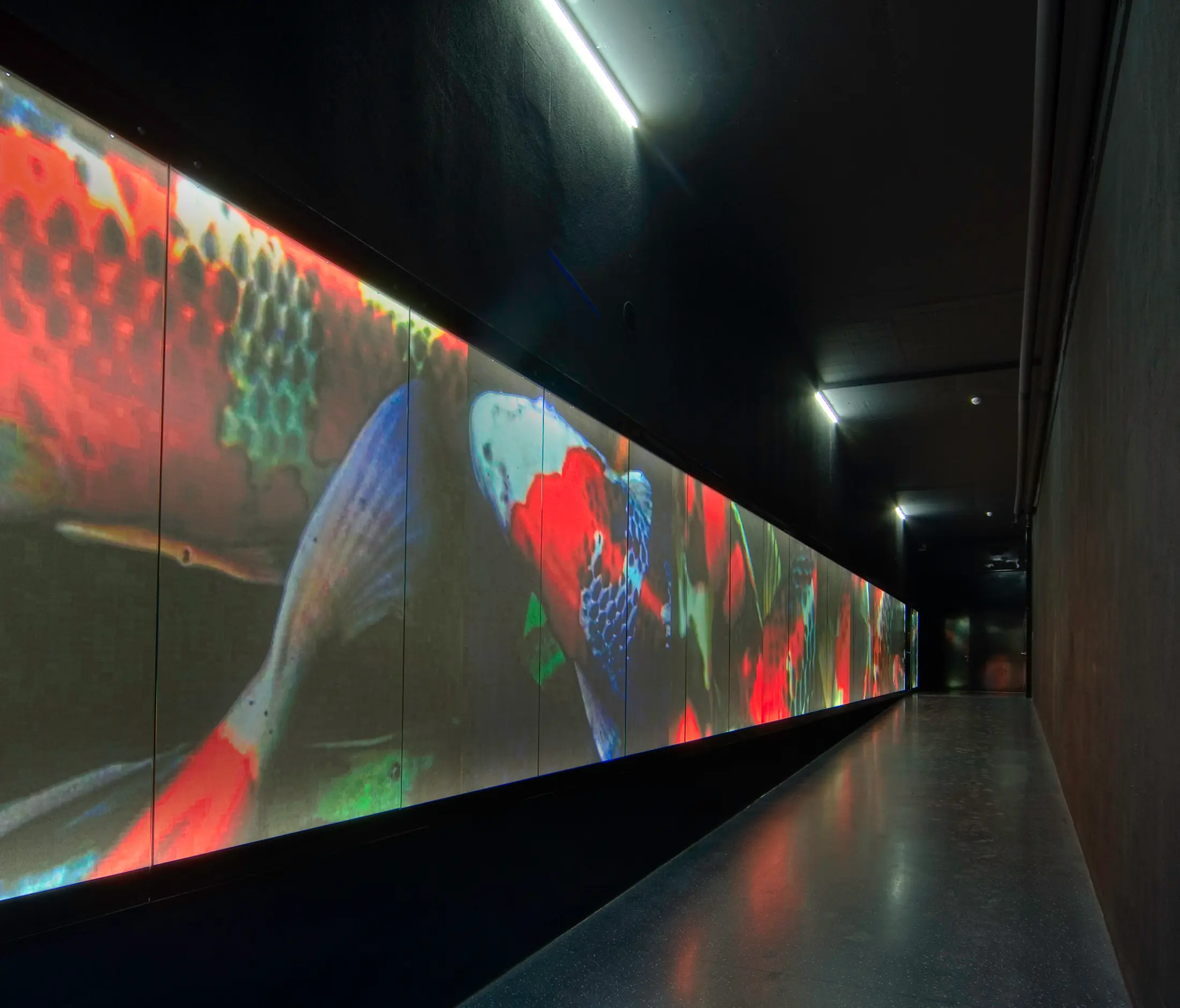 BURRI - Brandingwall - Lichtwände