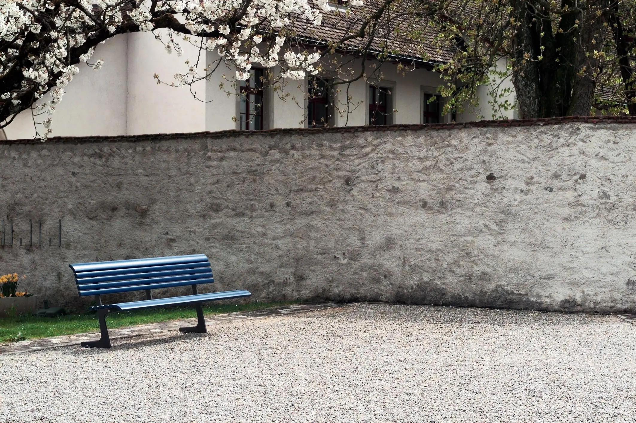 BURRI - Campo Bench with backrest
