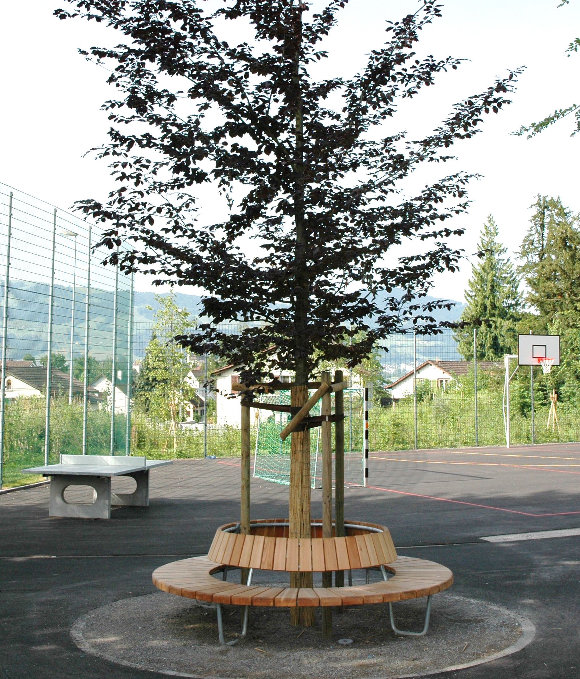 Display product Round bench with backrest from manufacturer BURRI