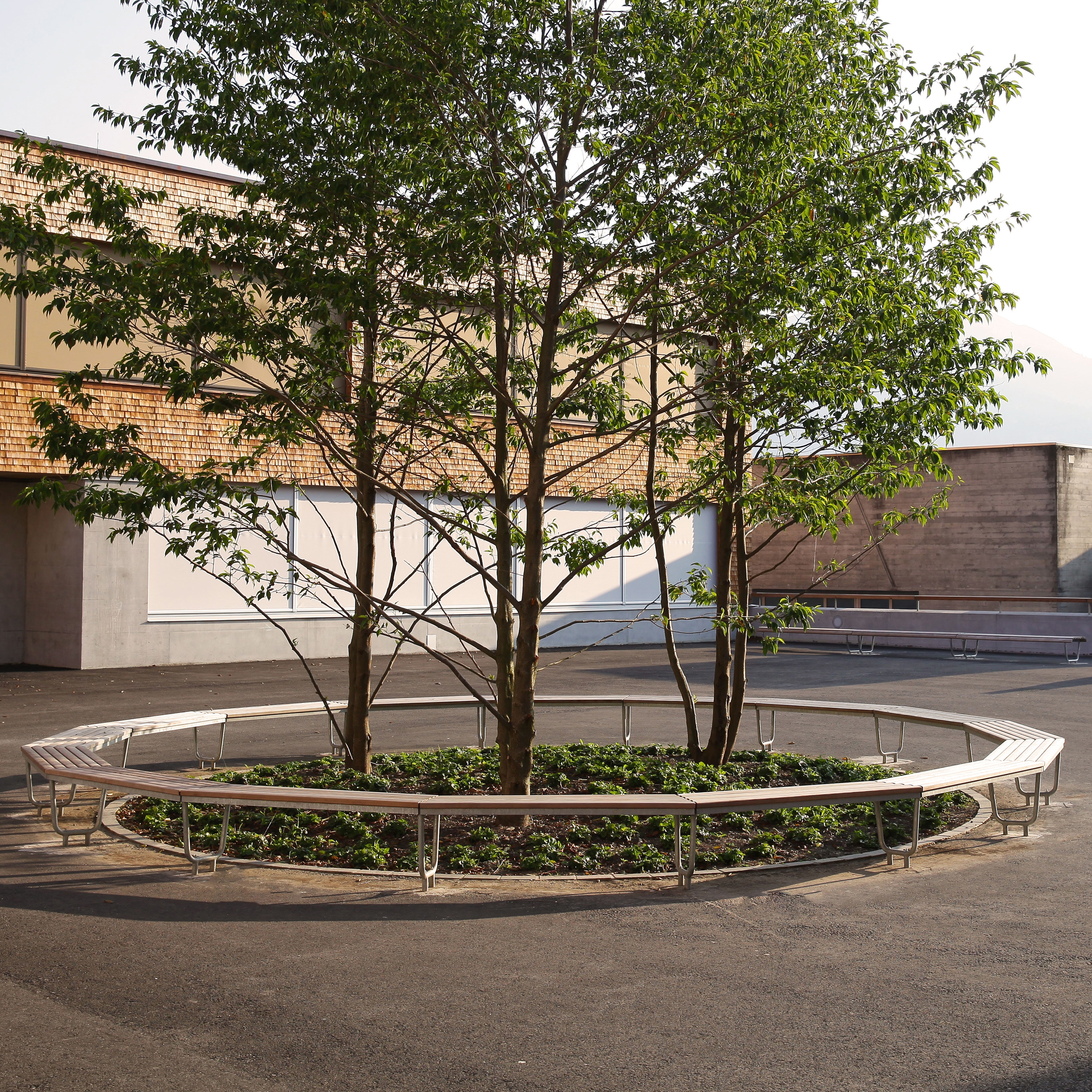 Mostrar el producto Landi Multi-Edge Bench del fabricante BURRI