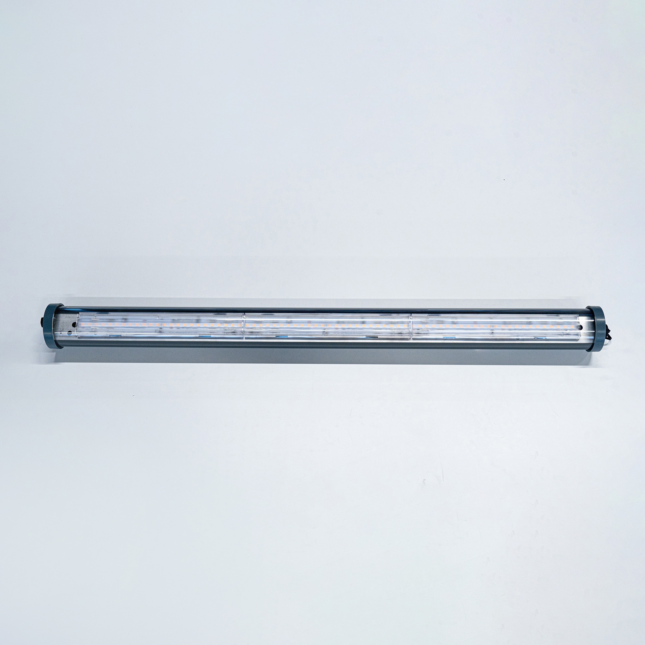 Display product PIPE - the circular tube light from manufacturer BURRI