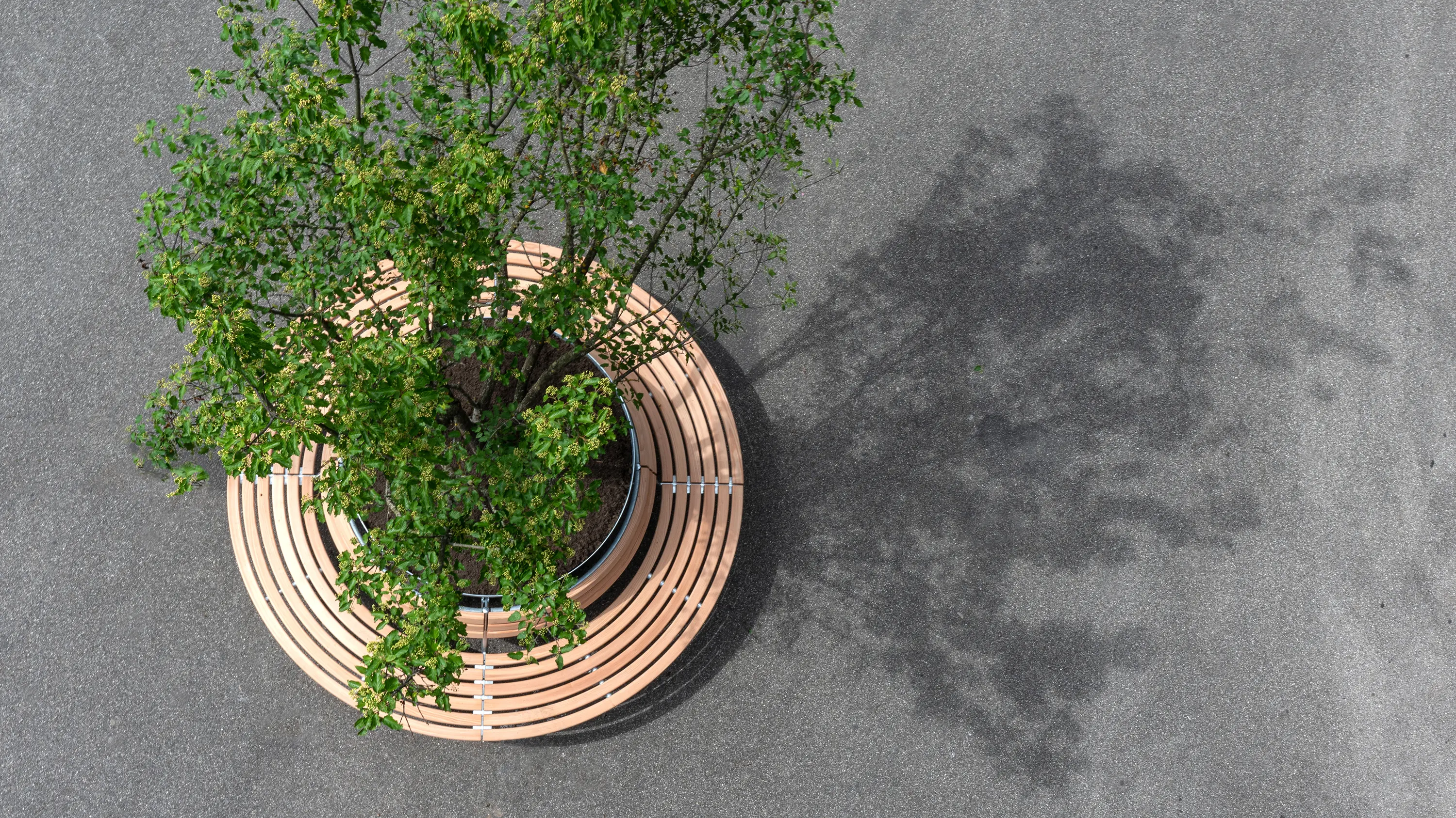 BURRI - cityGREEN ferroARTUS