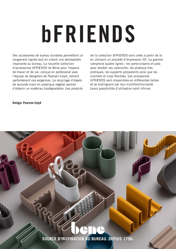 Vorschaubild für die Datei bFRIENDS