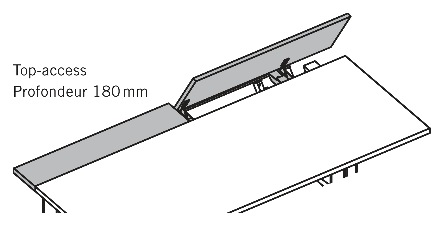 Thumbnail for image 12