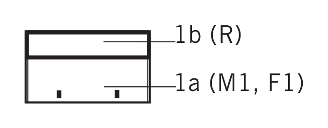 Thumbnail for image 11