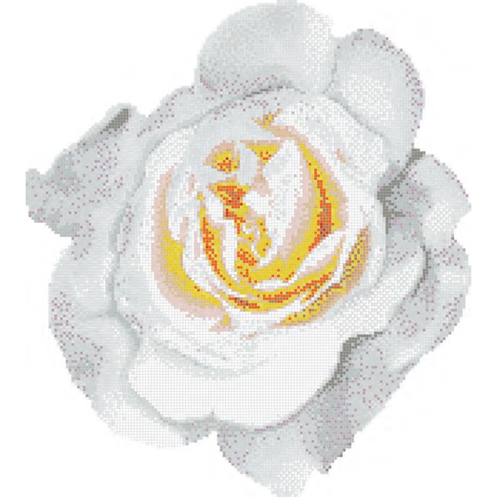 Rosa Bianca mosaic