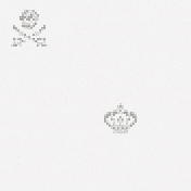 Produkt Skulls & Crowns White des Herstellers Bisazza anzeigen