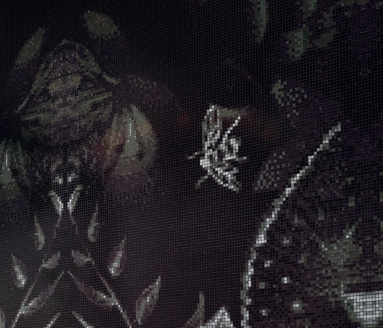 Bisazza - Night Vision