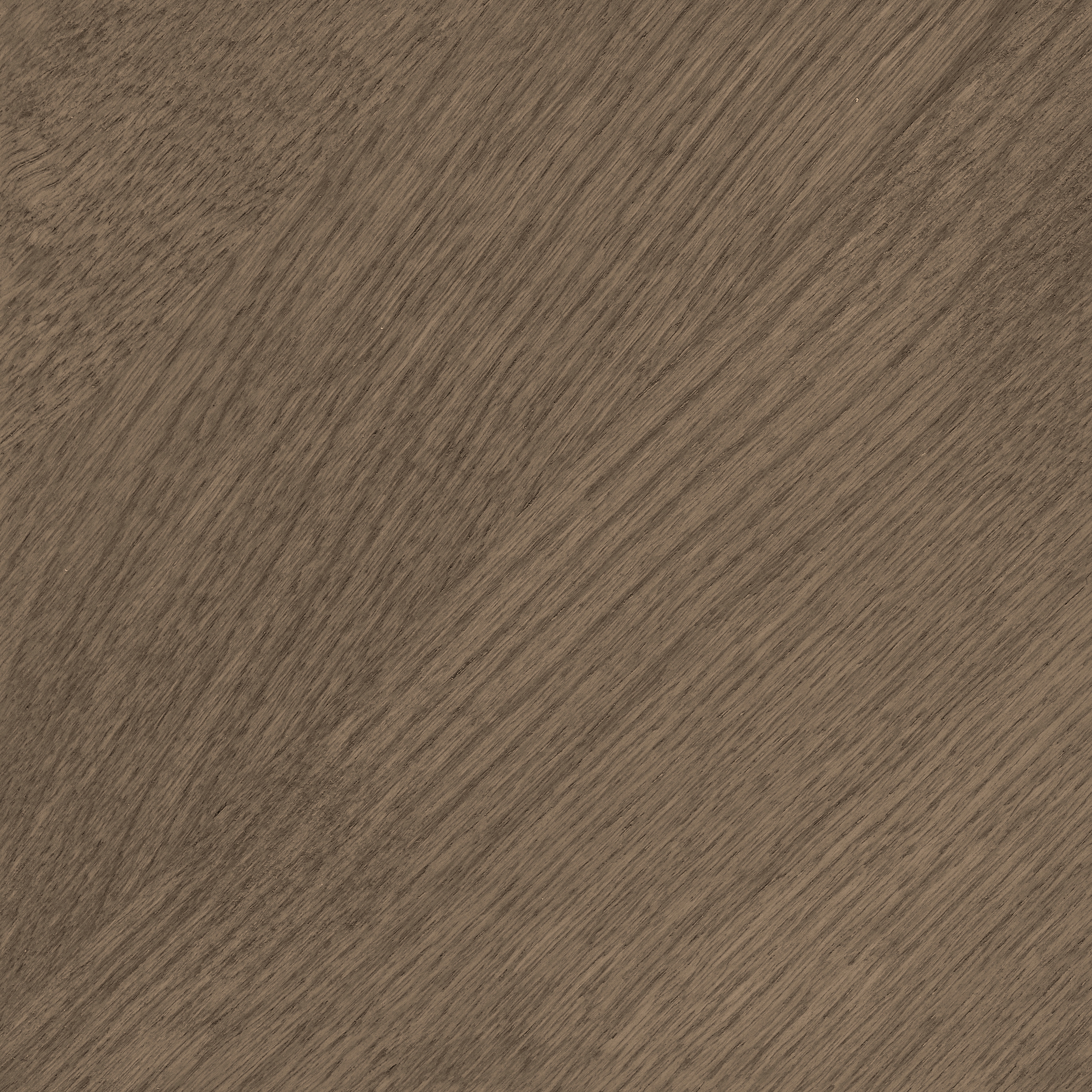 Marron Glacé (Q)