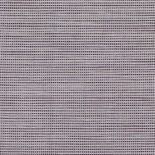 Wind 0103430005