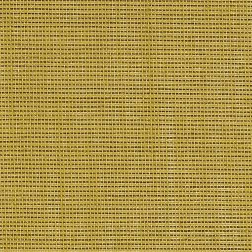 Wind 0103430066
