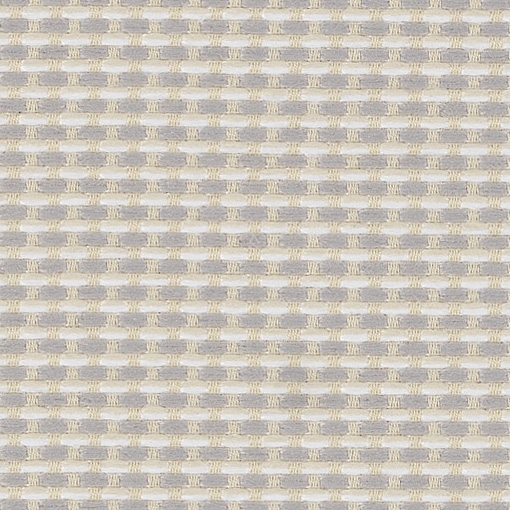 Salt 0420990008