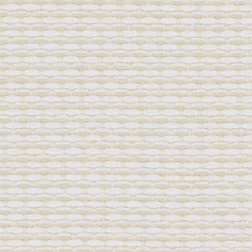 Salt 0420990009