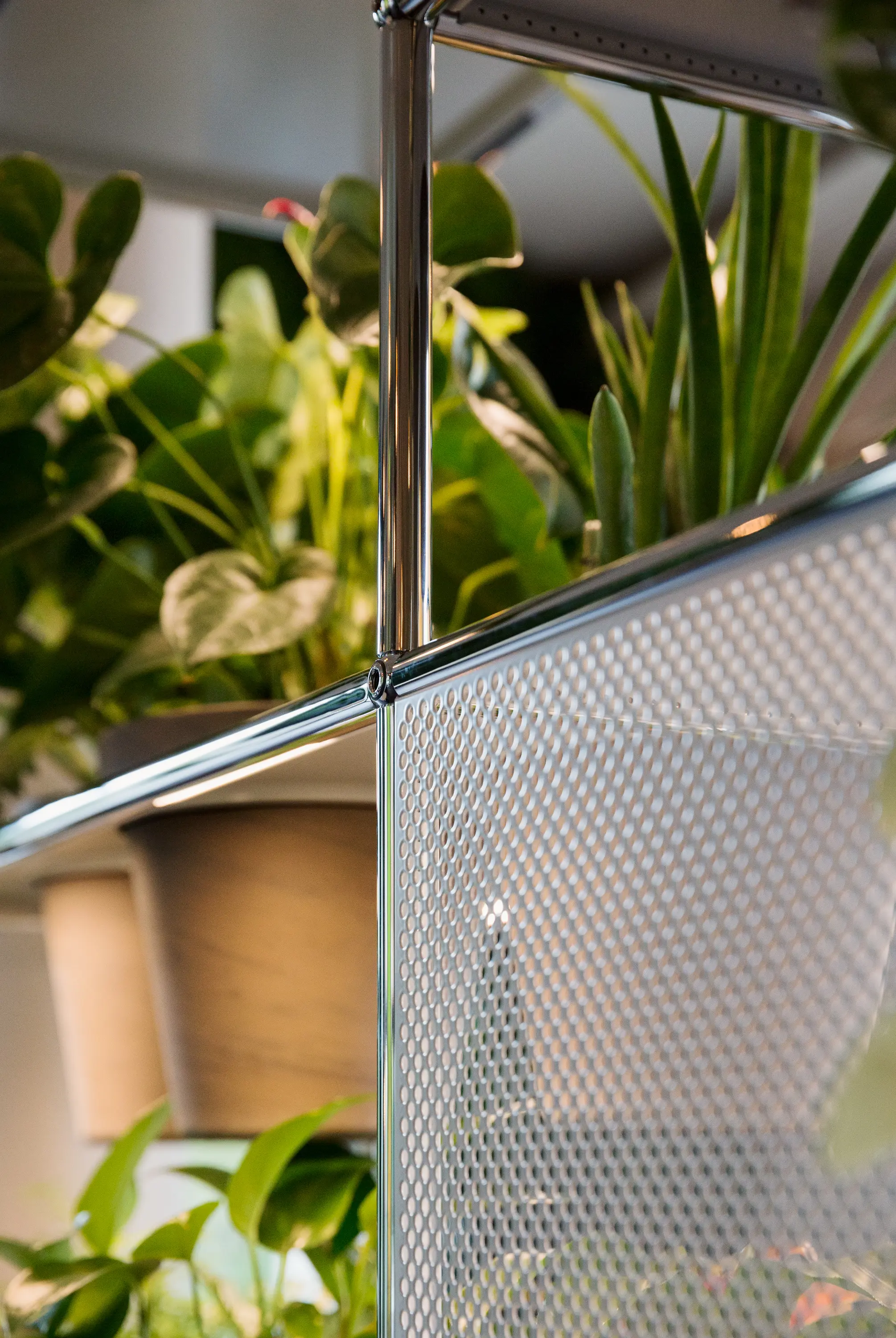 USM - USM Haller Regal mit Pflanzenwelten | Lichtgrau