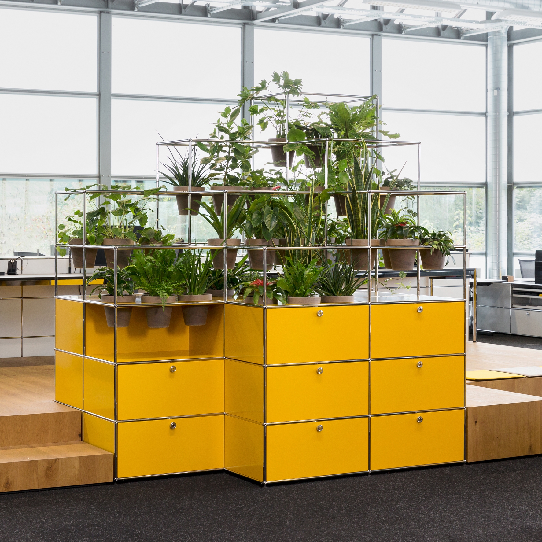 Display product USM Haller Storage with World of Plants | Golden Yellow from manufacturer USM
