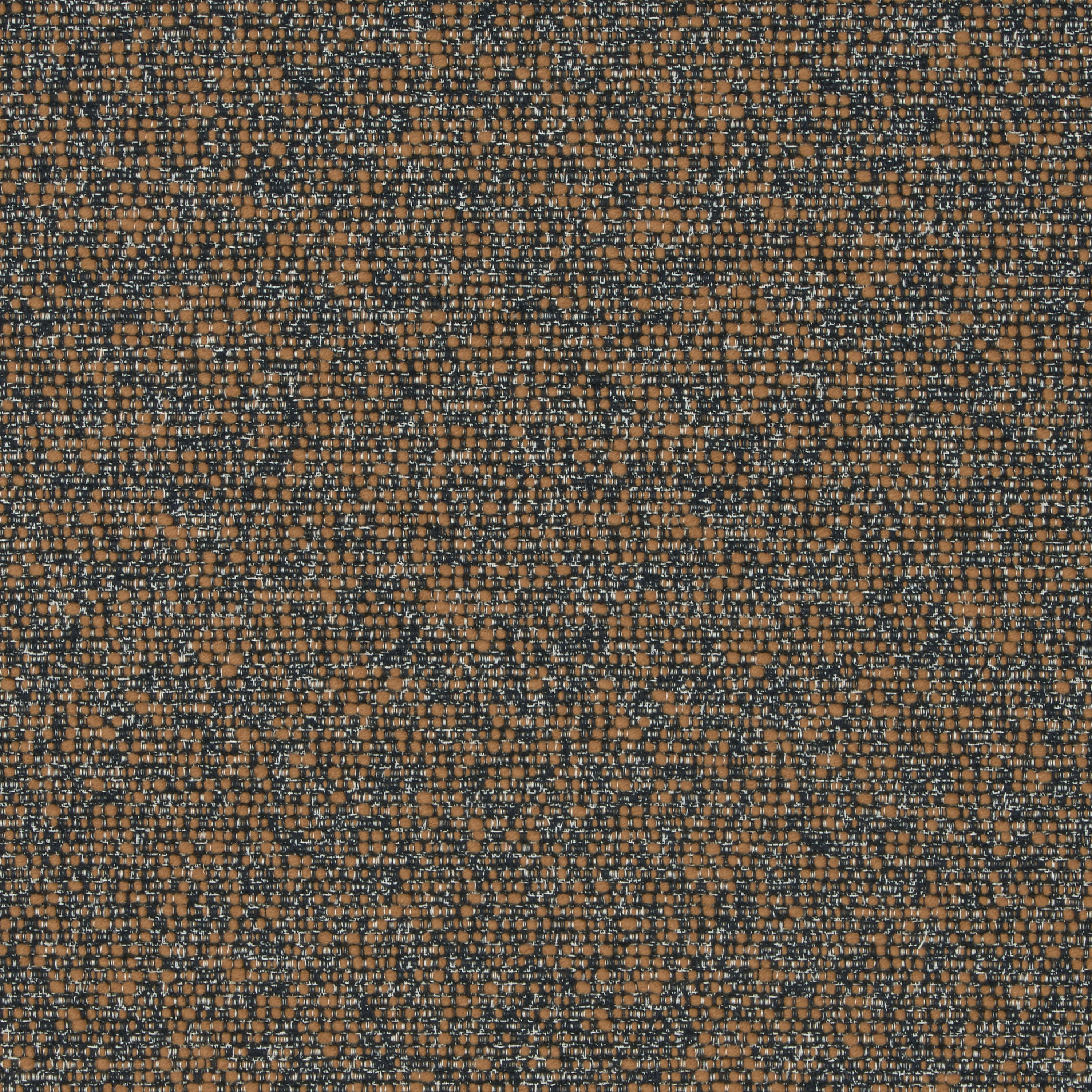 Sequence 600169-0003