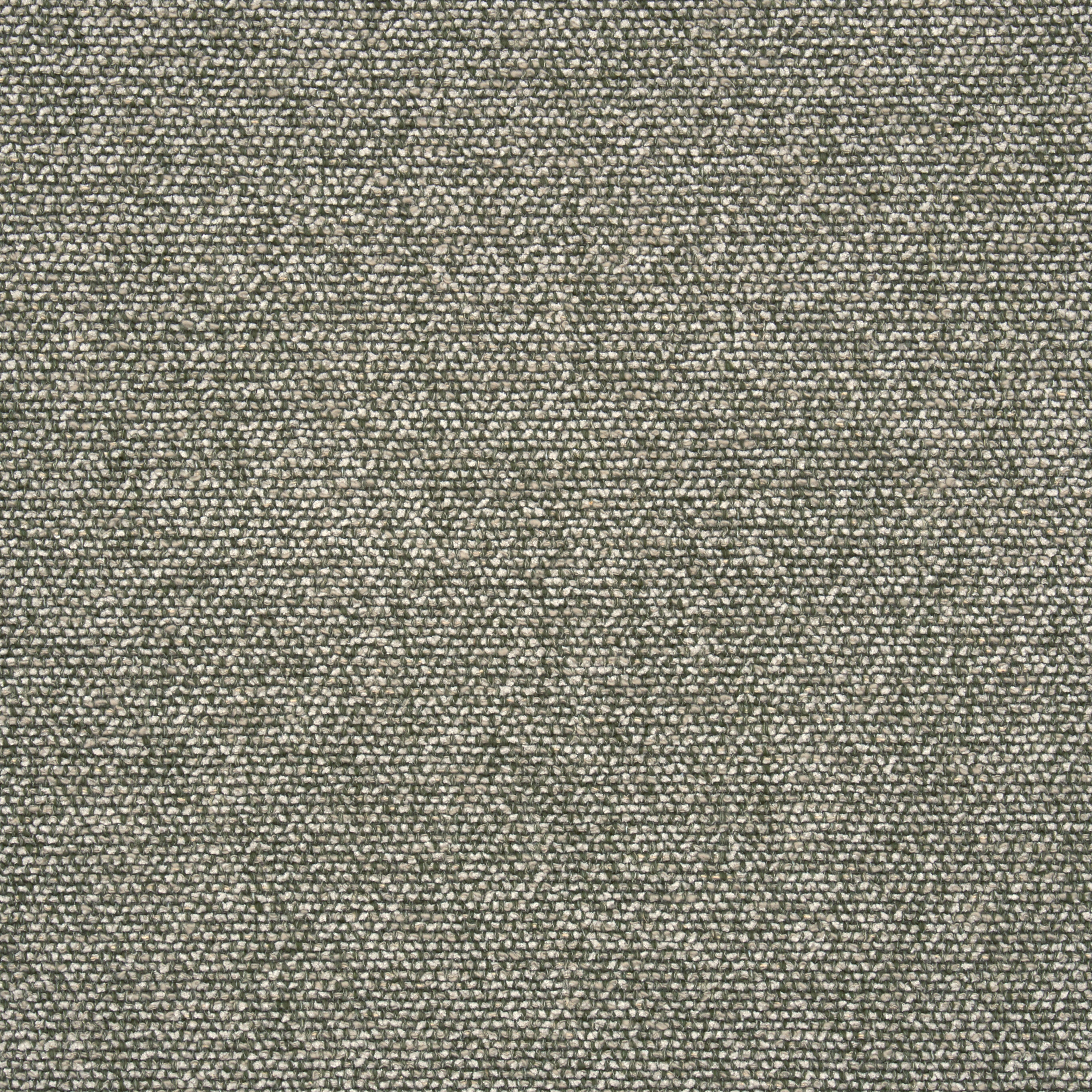 Moss 600664-0002