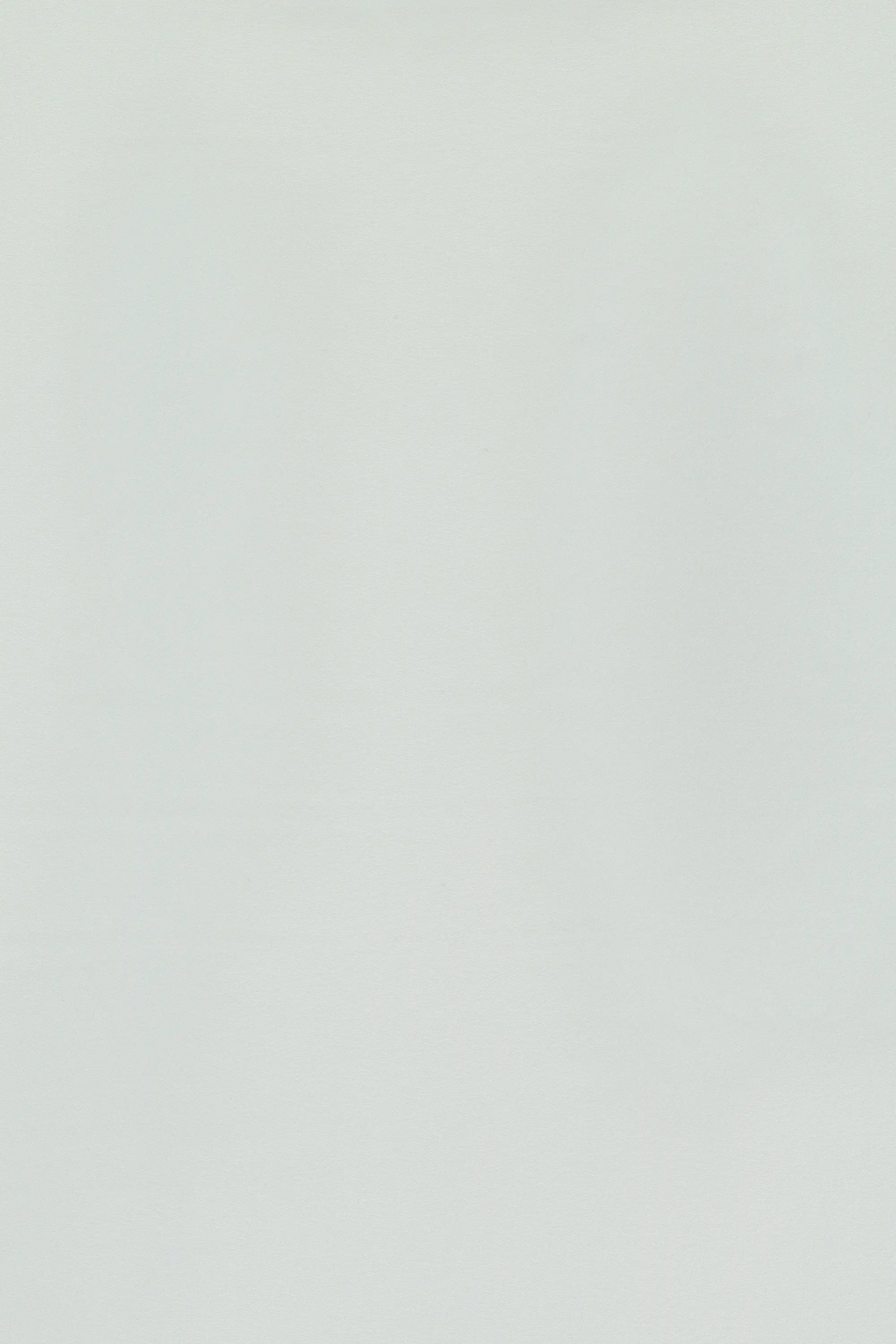 SAHCO - Powder 600693-0001