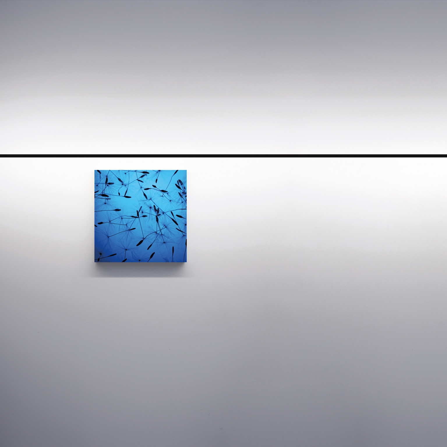 WALL