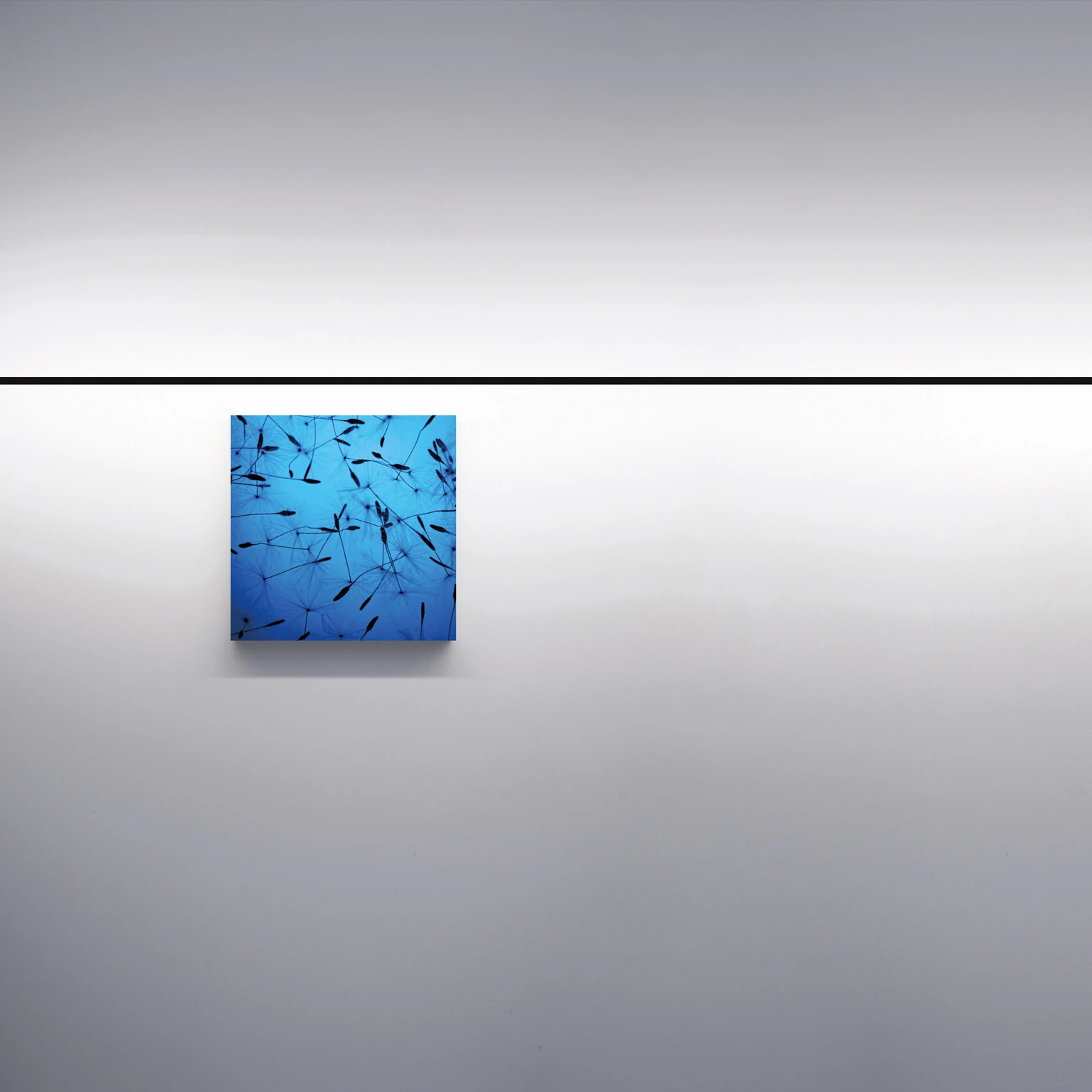 WALL