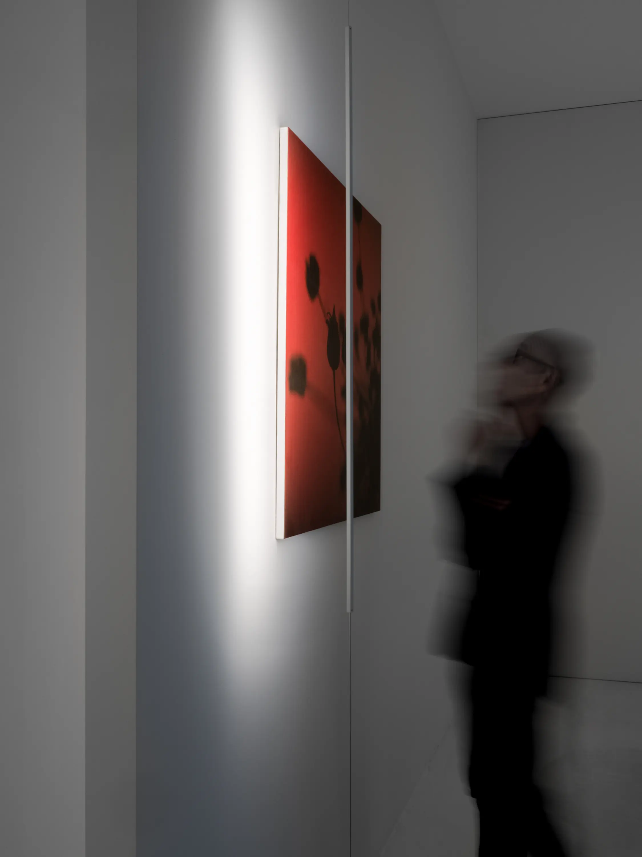 DAVIDE GROPPI - Masai