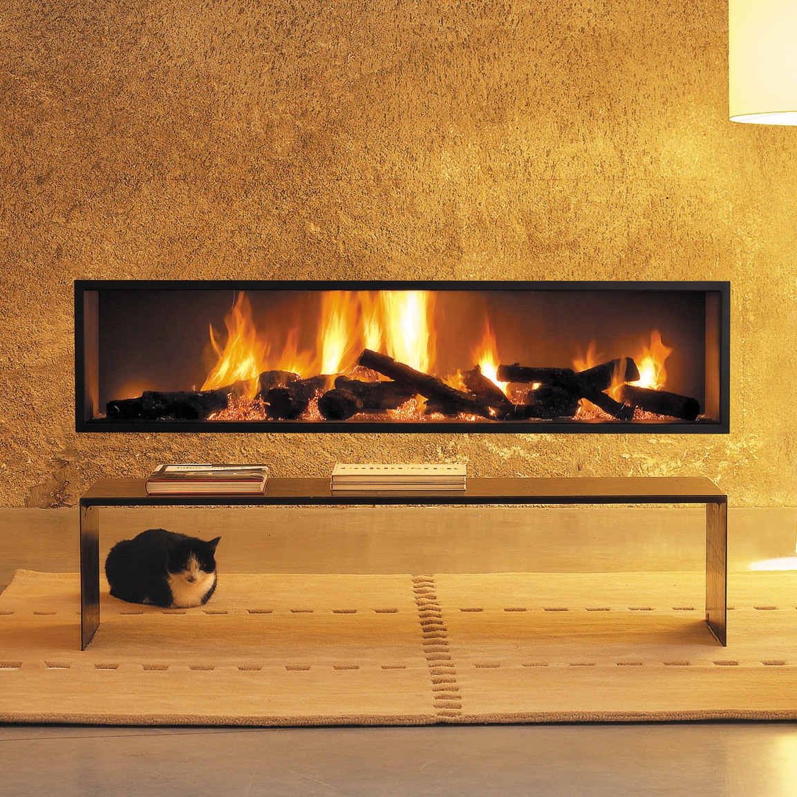 Mostrar el producto Néofocus del fabricante Focus