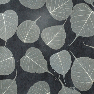 Ginko Sand