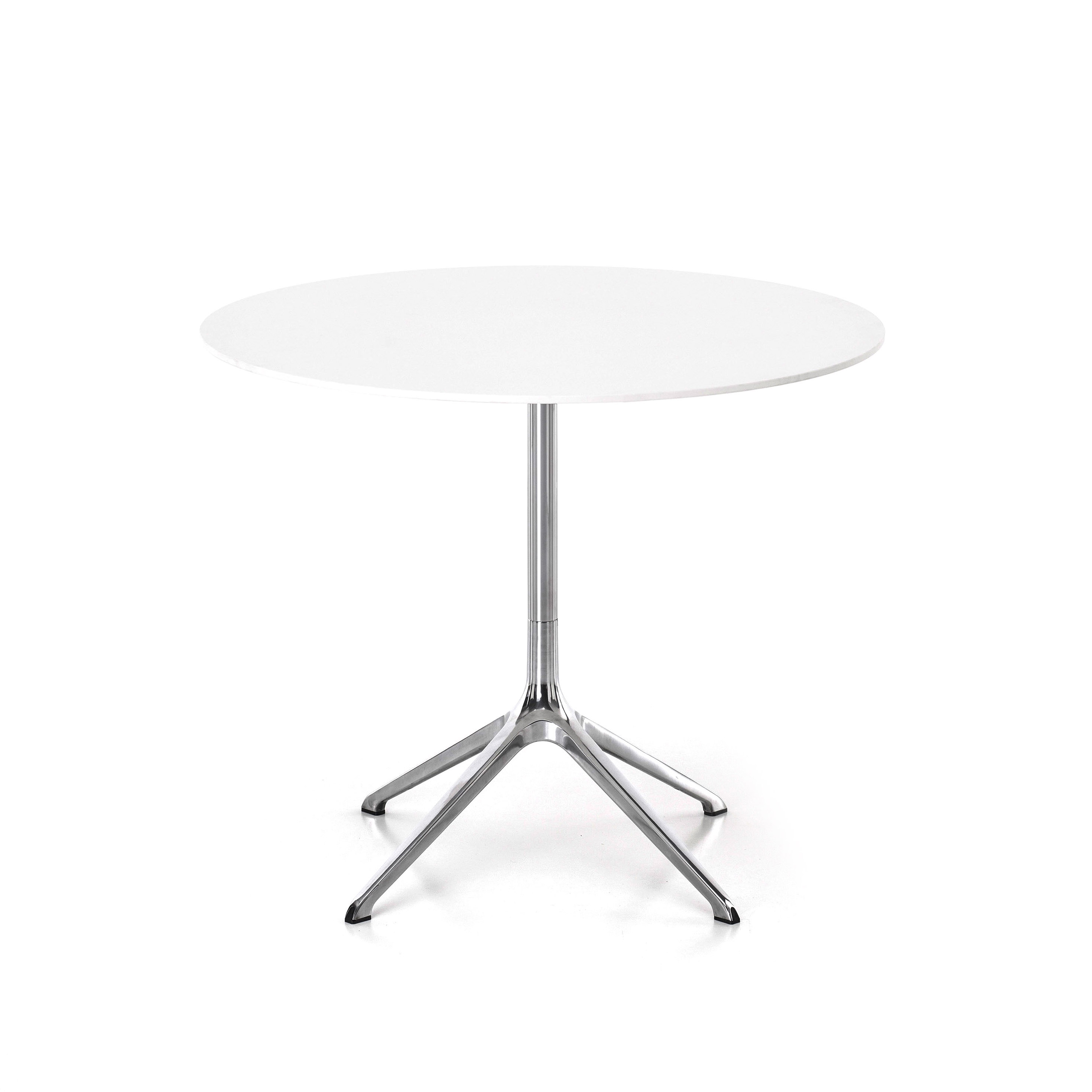 Elephant table