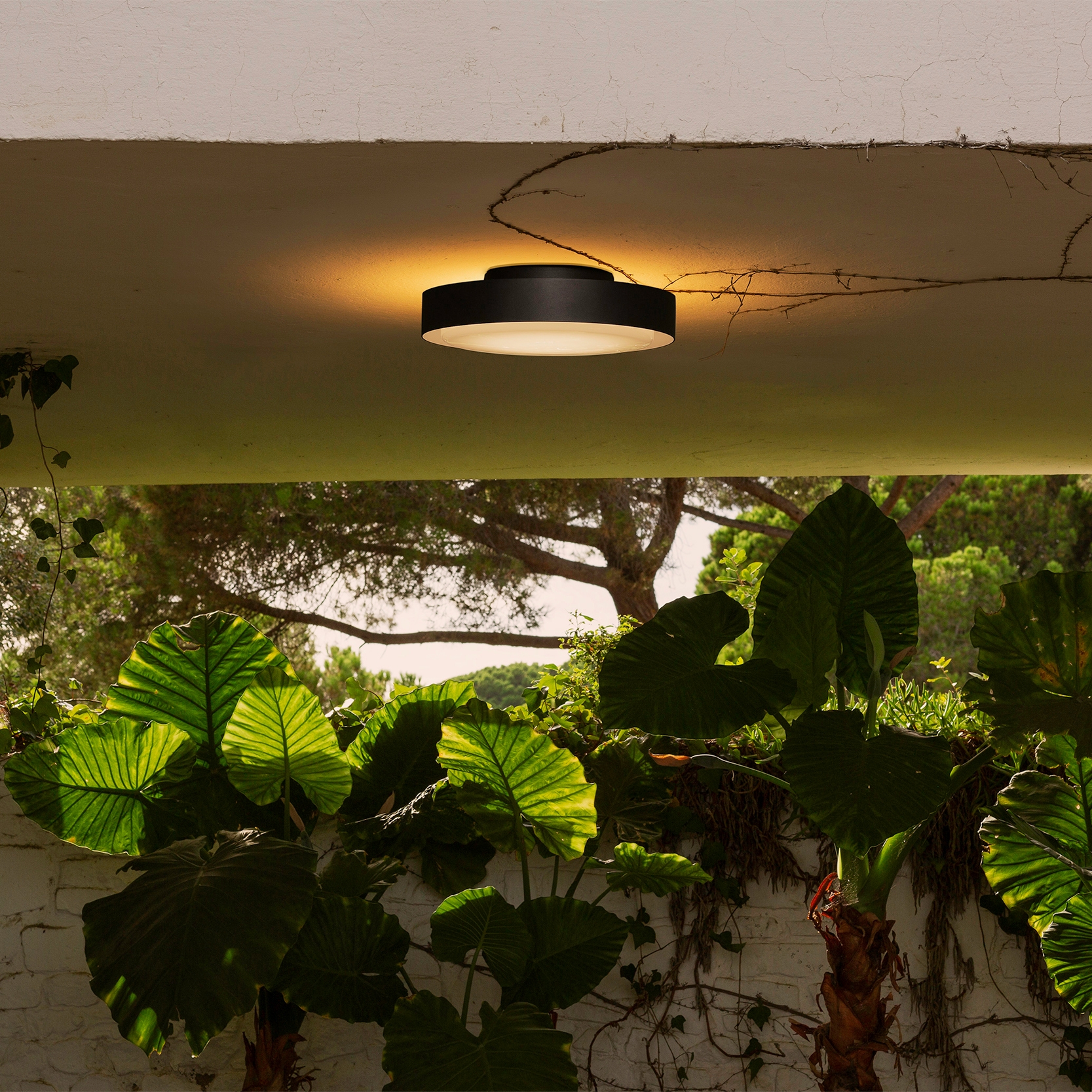 OUTDOOR CEILING LIGHTS