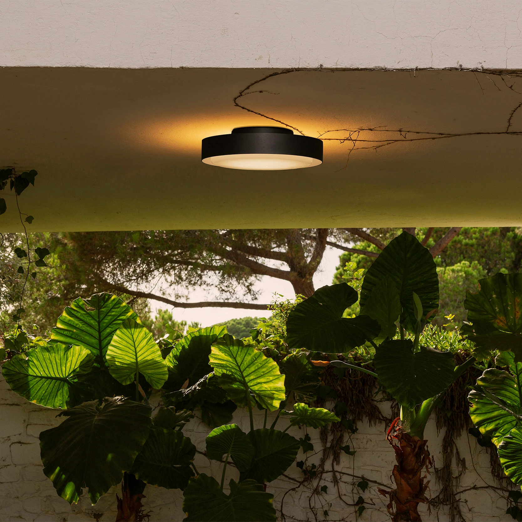 OUTDOOR CEILING LIGHTS