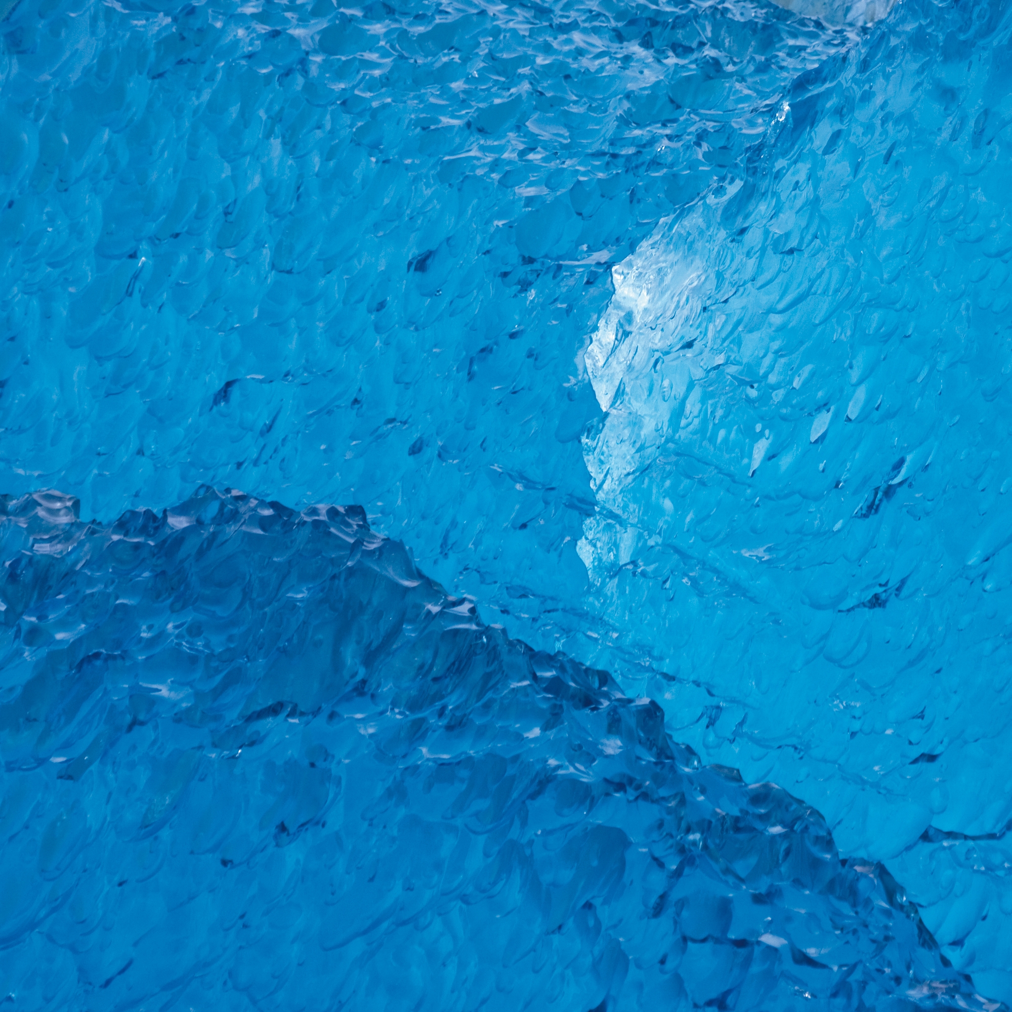 Nr. 5426 | Bizarr und blau