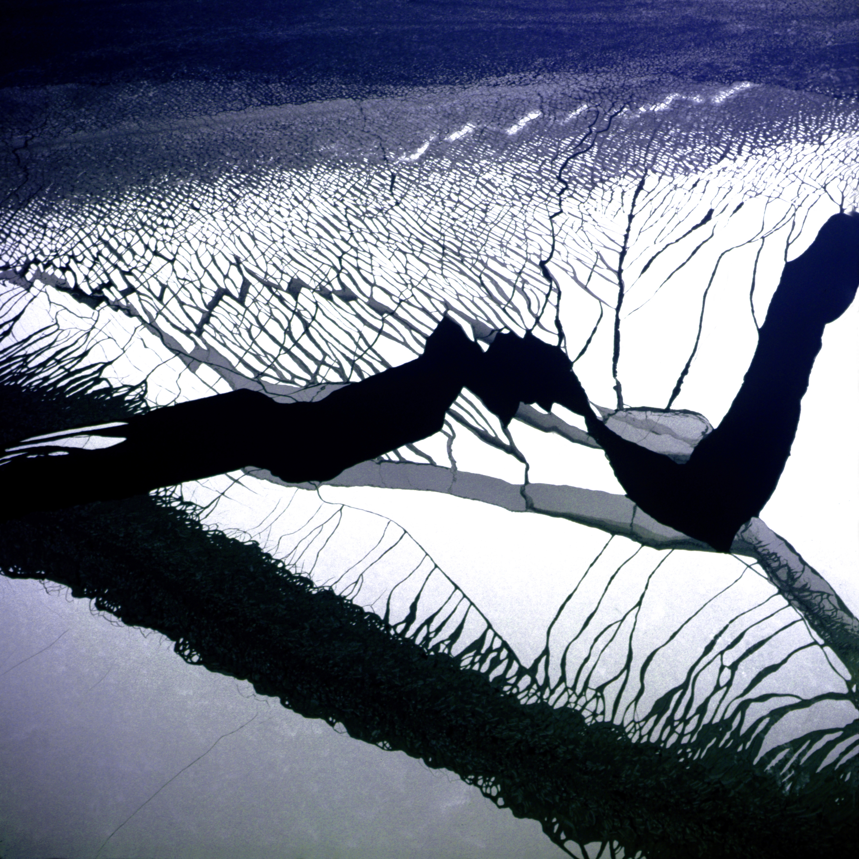 Nr. 7405 | Broken Ice