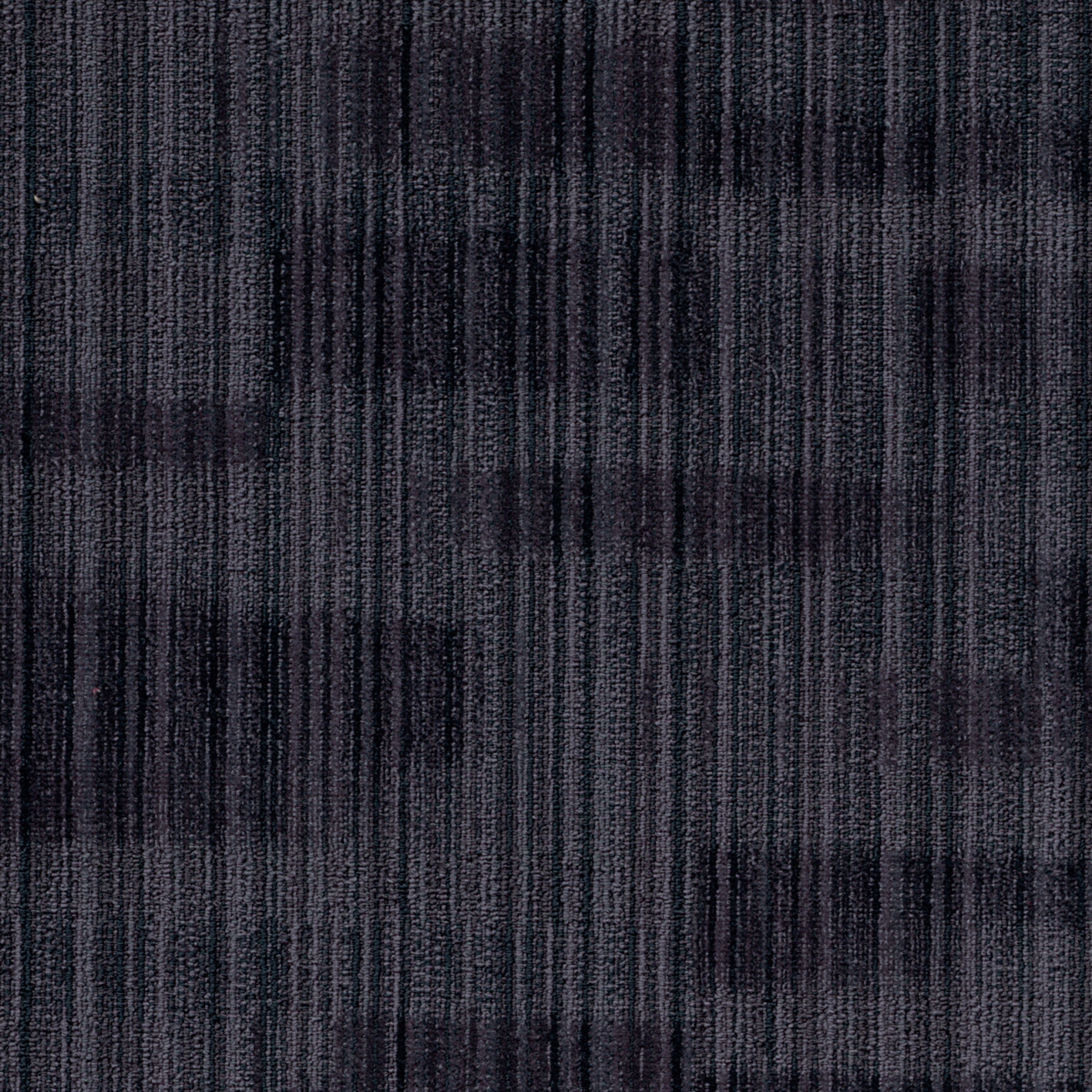 Tessera Alignment nocturn