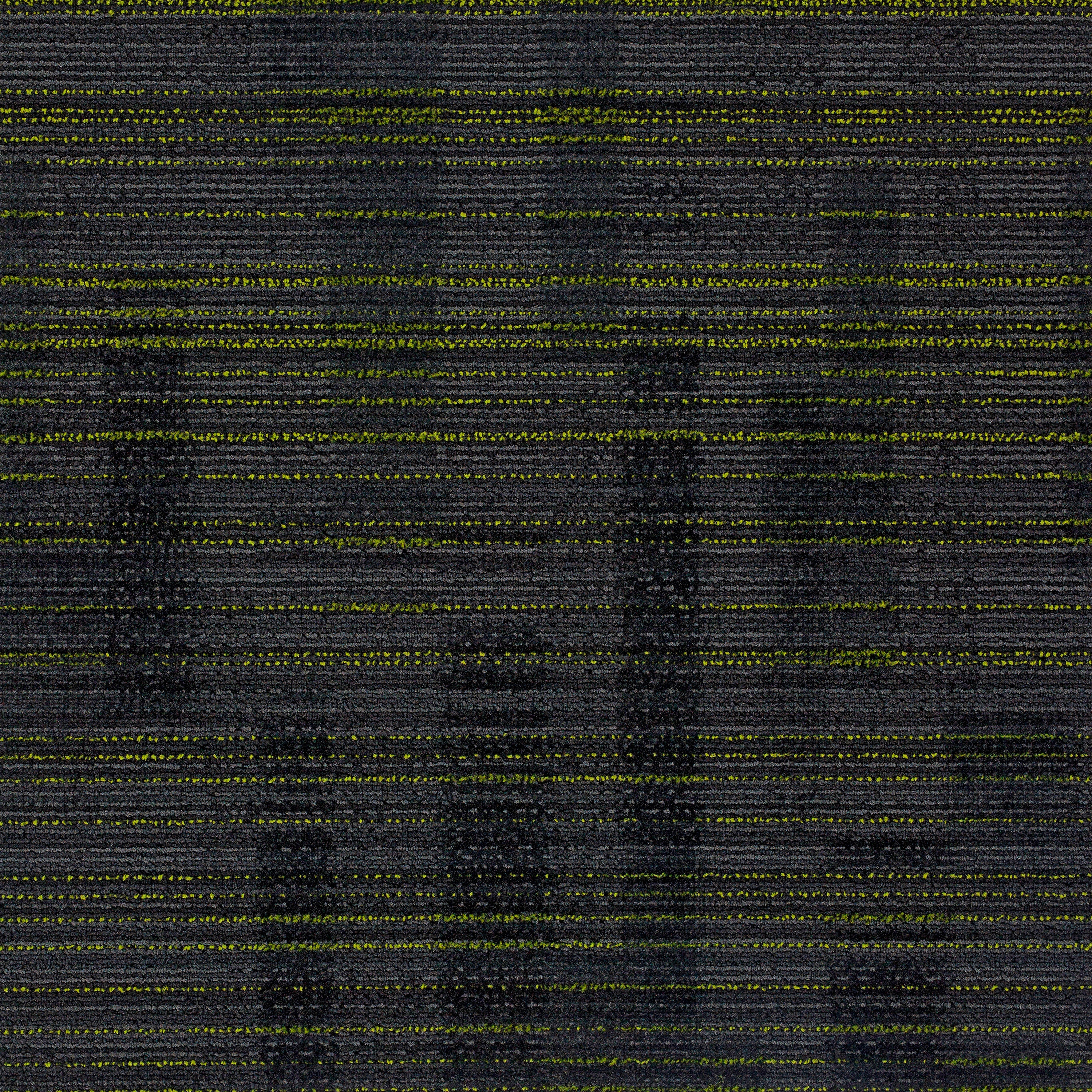 Tessera Alignment terrestrial