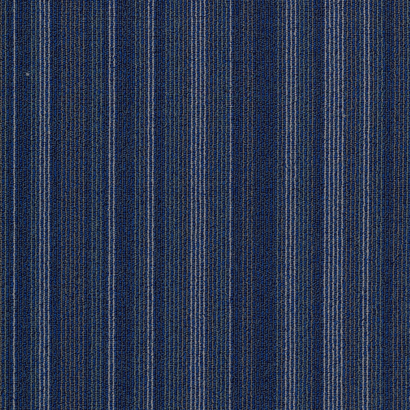 Tessera Barcode border line