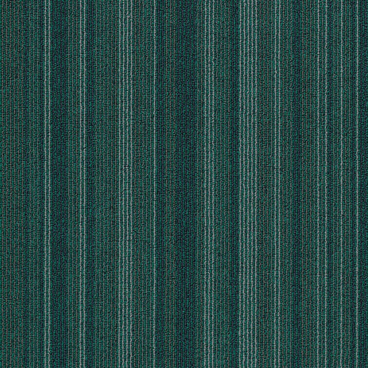 Tessera Barcode story line