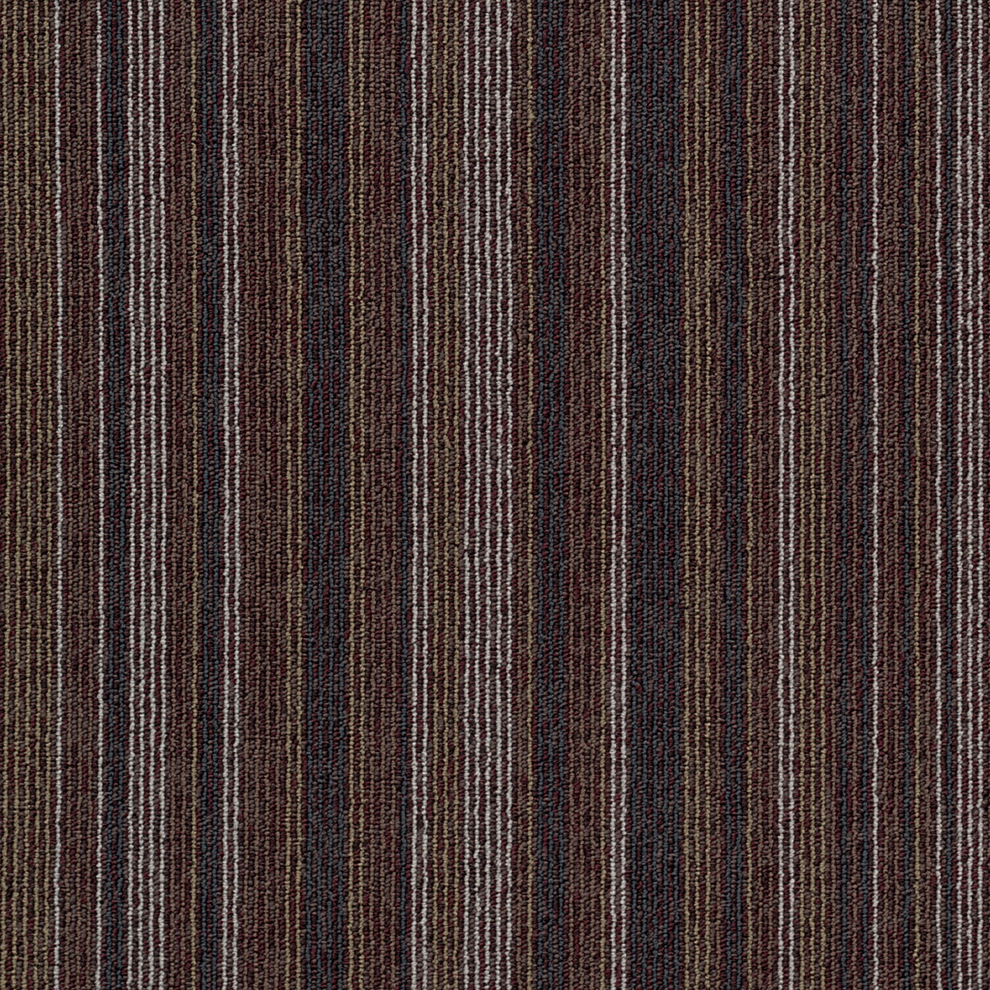 Tessera Barcode starting line