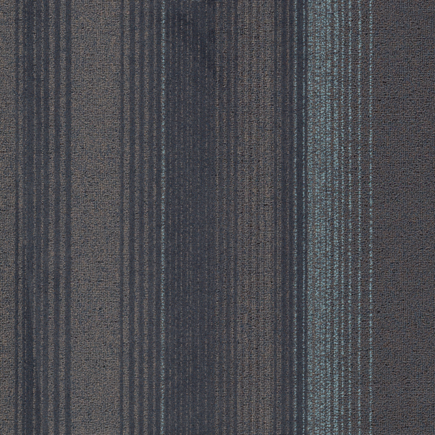 Tessera Create Space 3 columbine