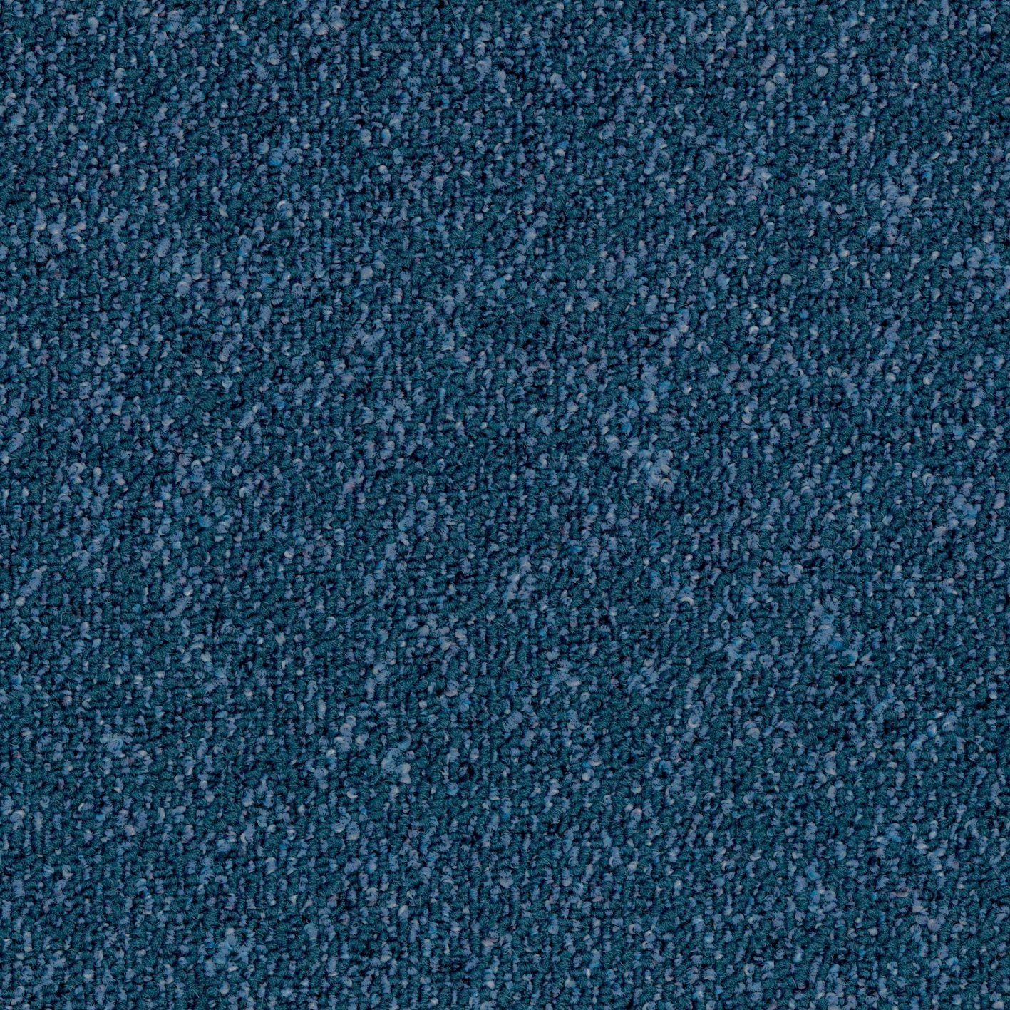 Tessera Format marine dream