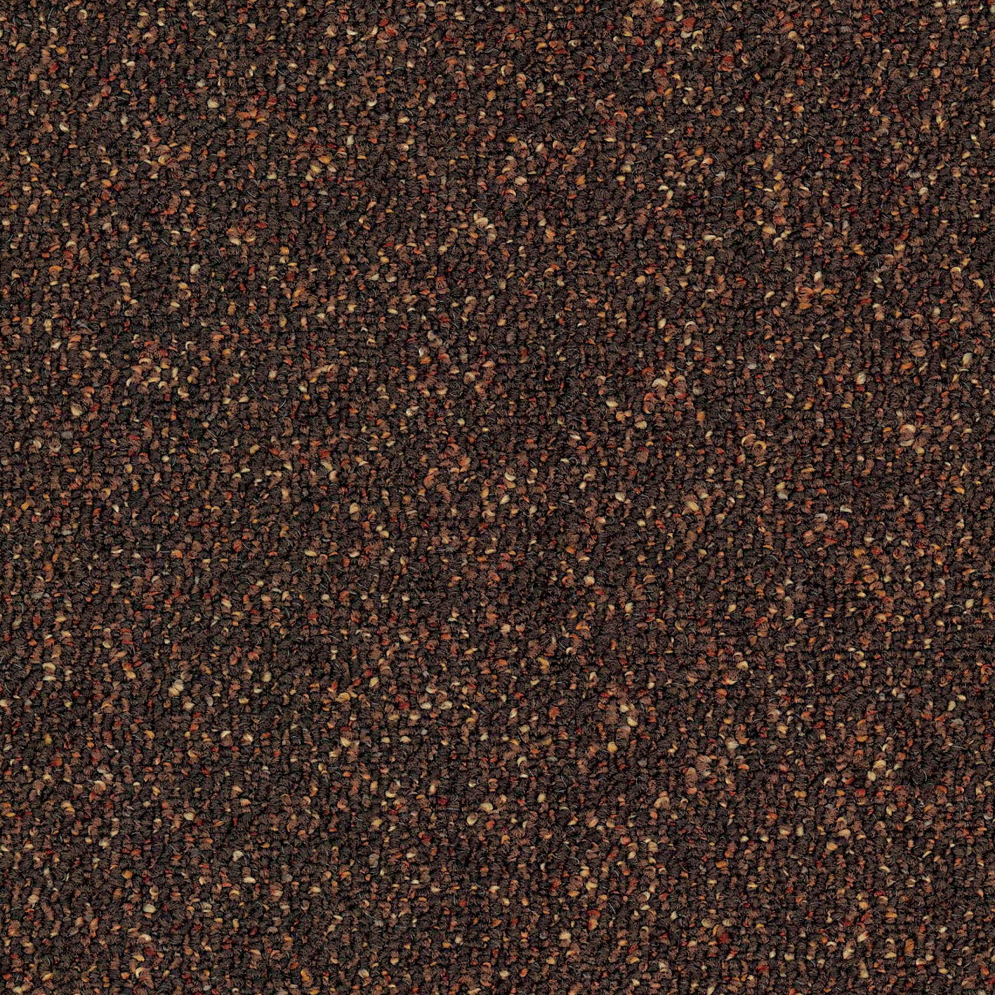 Tessera Format mocha choca