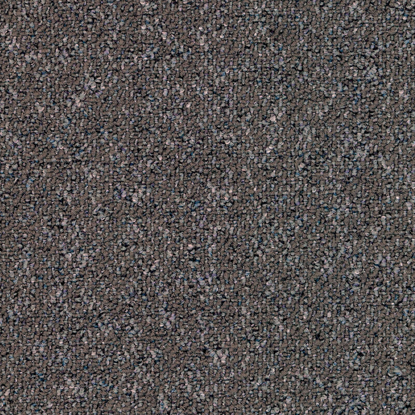 Tessera Format wind swept