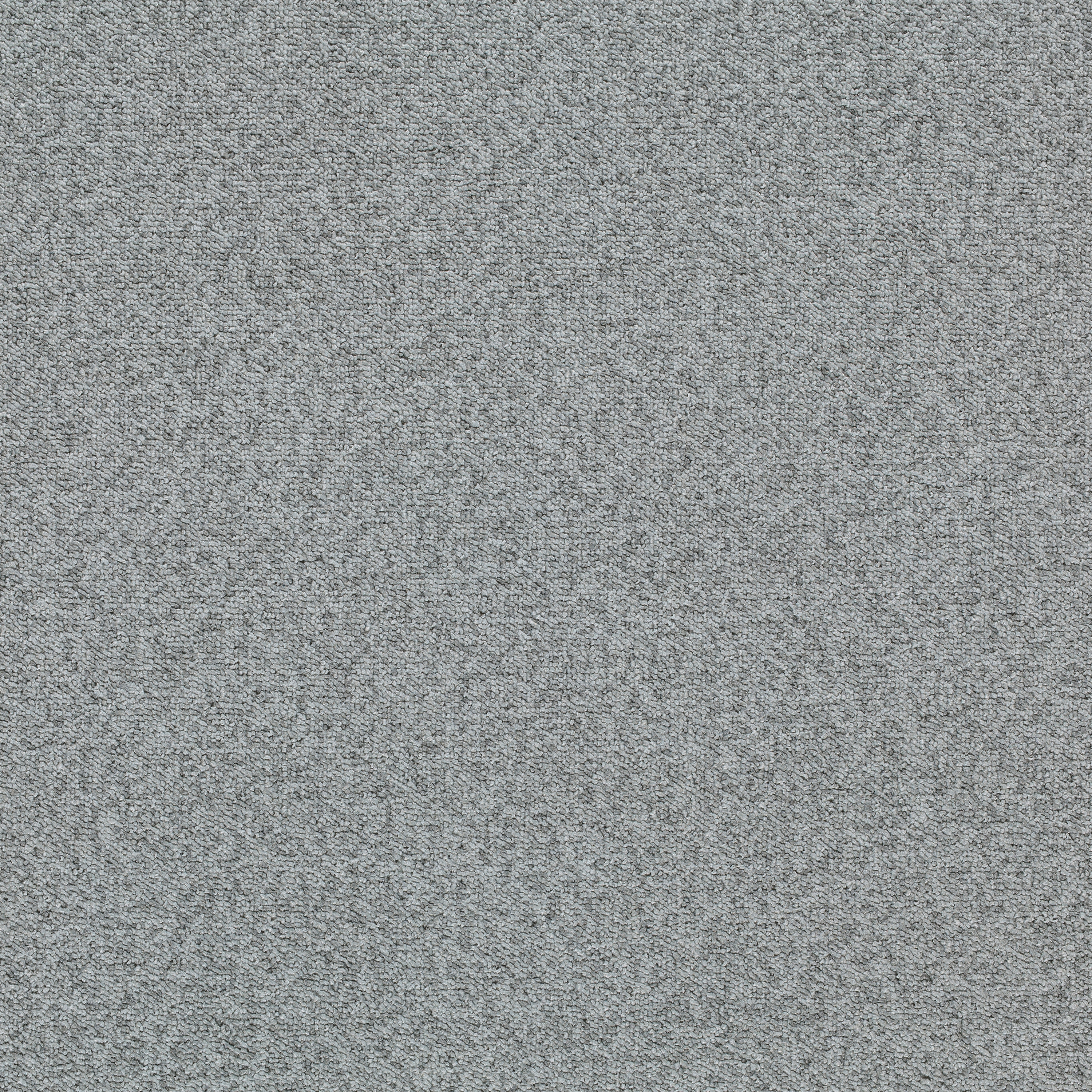 Tessera Teviot ice