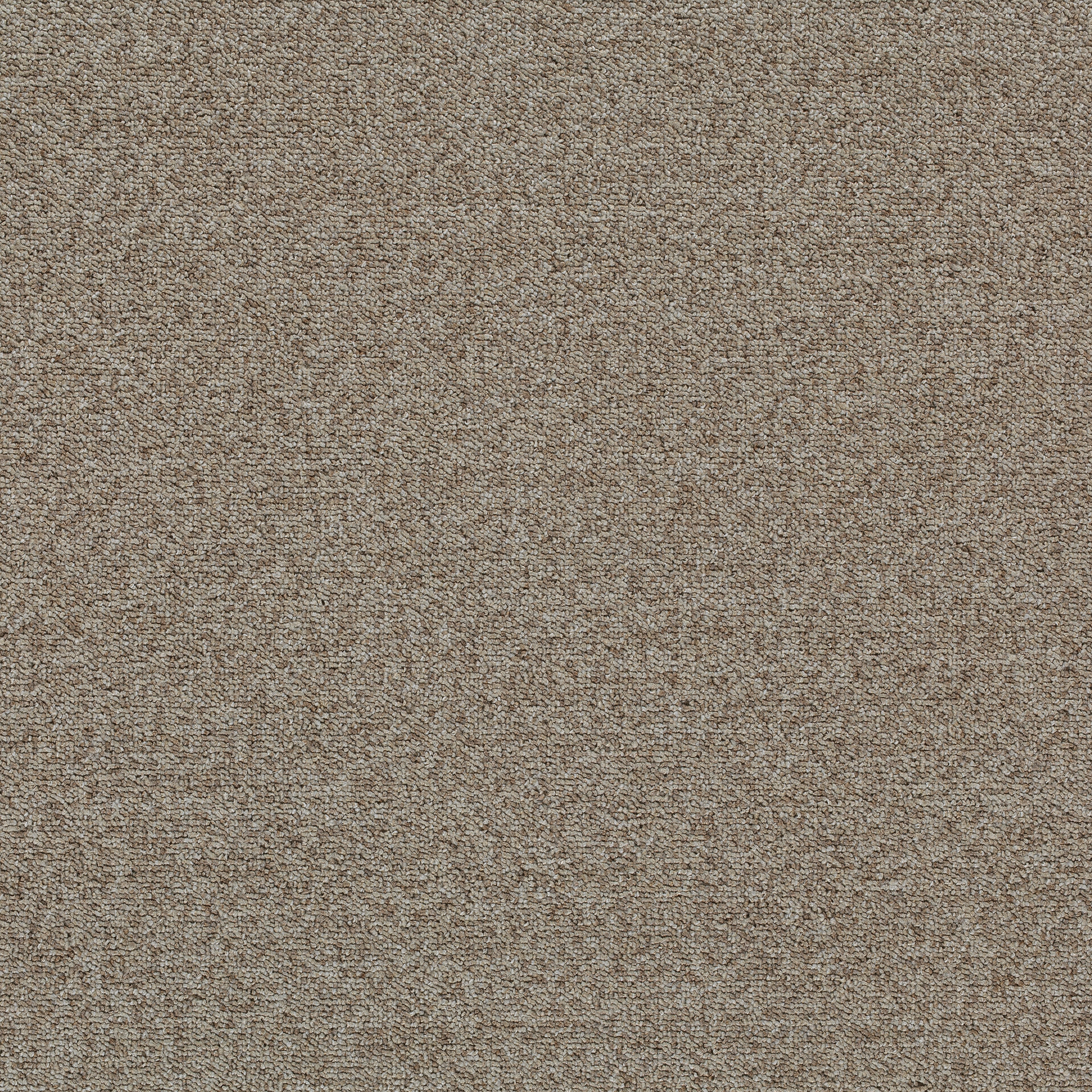Tessera Teviot khaki